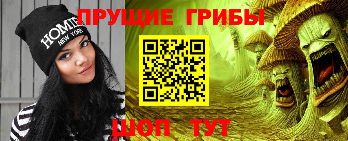 Псилоцибиновые грибы GOLDEN TEACHER Соликамск